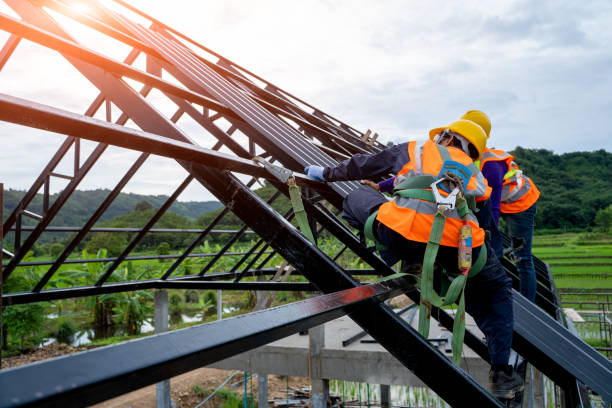 Best Roof Gutter Cleaning  in New Berlinville, PA