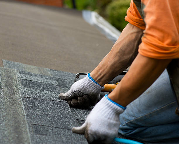 Best Roof Gutter Cleaning  in New Berlinville, PA